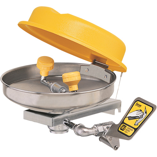 Eyewash Station, Wall-Mount Installation, Stainless Steel Bowl Kelford