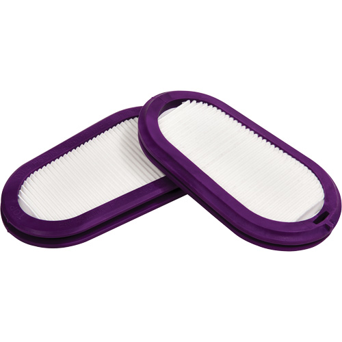 Filtres de remplacement, Filtre contre les particules, Filtre P100 Kelford