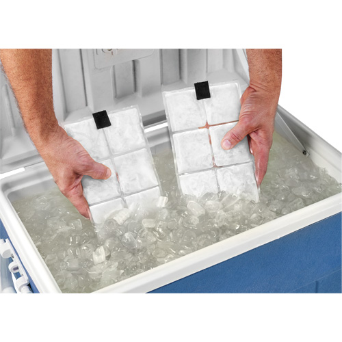 Sachets pour veste de refroidissement &agrave; changement de phase 6260 Chill-Its Kelford