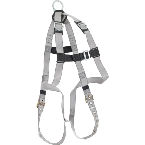 Harnais &eacute;conomique de conformit&eacute; B Dynamic, Certifi&eacute;e CSA, Classe AE, Cap. 310 lb Kelford