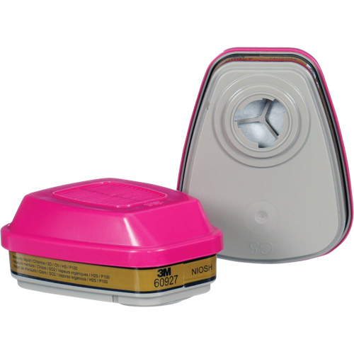 Cartouche, Combinaison cartouche et filtre contre les particules pour gaz/vapeurs, Gaz multiples/Vapeurs/P100 Kelford