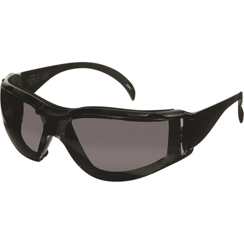 Lunettes de s&eacute;curit&eacute; CeeTec DX, Lentille Gris, Antibu&eacute;e/Anti-&eacute;gratignures, R&eacute;pond ou surpasse la norme CSA Z94.3 Kelford