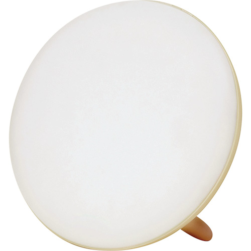 Jumbo Therapy Light for Seasonal Affective Disorder Kelford