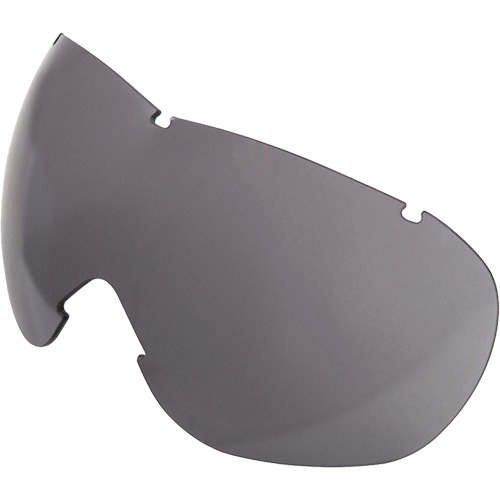 Lentille de rechange pour les lunettes de s&eacute;curit&eacute; &agrave; coques Uvex Sub-Zero, Antibu&eacute;e/anti-&eacute;gratignures, Gris, Uvex Sub-Zero Kelford