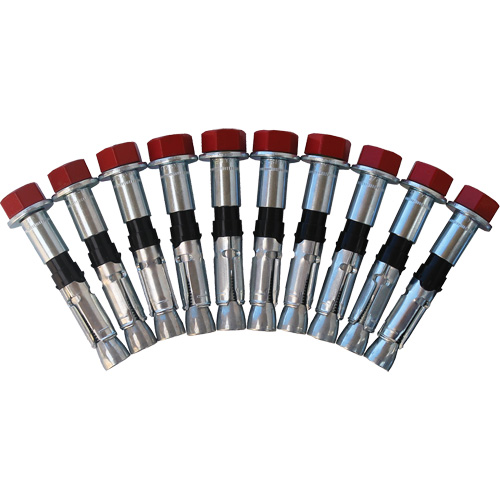 Replacement Bolt Kit for Concrete D-Ring Anchors, Bolt-On, Permanent/Temporary Use Kelford