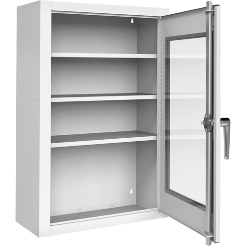 Lockable Medicine Cabinet with Plexiglas Door Kelford