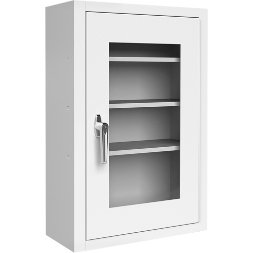 Lockable Medicine Cabinet with Plexiglas Door Kelford