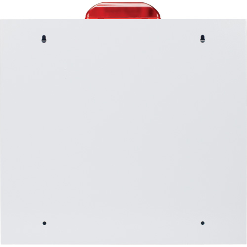 Standard Large AED Cabinet with Alarm & Strobe, Zoll AED Plus&reg;/Zoll AED 3/Cardio-Science/Physio-Control For, Non-Medical Kelford