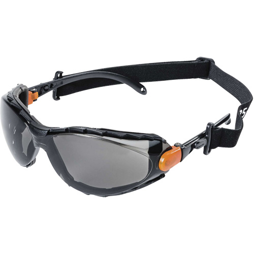 XPS502 Sealed Safety Glasses, Indoor/Outdoor Lens, Anti-Scratch Kelford