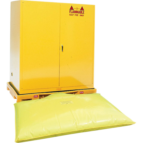 Double Drum Ultra-Safety Cabinet Bladder System, 63" lo x 38,5" la x 6,3" h, Capacit&eacute; de charge 3000 lb Kelford