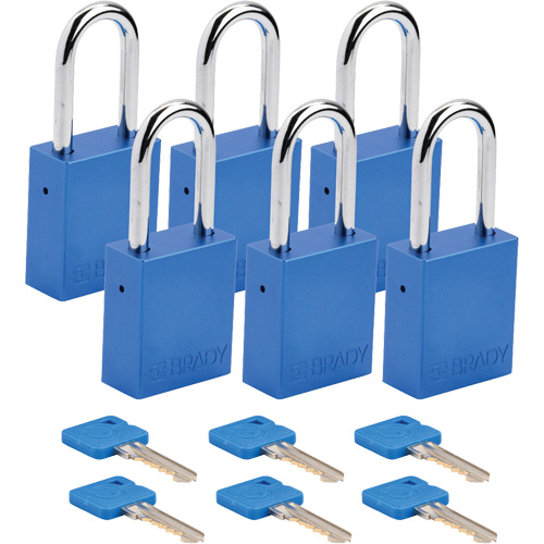 Cadenas de s&eacute;curit&eacute;, Cadenas de s&eacute;curit&eacute;, Cl&eacute;s identiques, Aluminium, Largeur de 1-1/2" Kelford