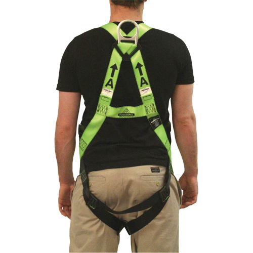 FBH-10000L Contractor Series Safety Harness, CSA Certified, Class AL, 400 lbs. Cap. Kelford