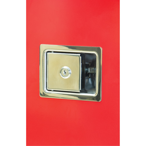 Armoires ext&eacute;rieures robustes pour extincteurs, 14" la x 28" h x 10" p Kelford