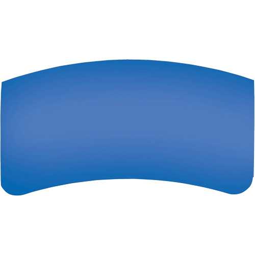 Lentille ext&eacute;rieure Bullard GenVX PETG Kelford