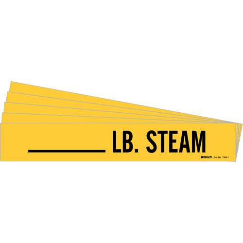 Marqueurs de tuyau LB. Steam, Autocollant, 2-1/4" h x 2-3/4" la, Noir sur jaune Kelford