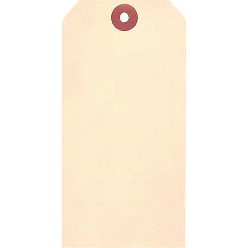 &eacute;tiquettes vierges en papier cartonn&eacute; de manille, Papier cartonn&eacute;, 1-5/8" la x 3-1/4" h Kelford