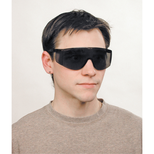 Lunettes de s&eacute;curit&eacute; Tacoma, Lentille Grise/fum&eacute;e, Anti-&eacute;gratignures, ANSI Z87+ Kelford