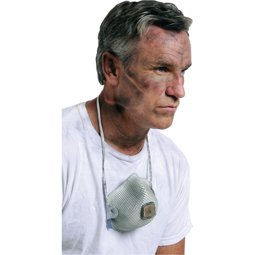 Respirateurs  contre les particules 2700, N95, Certifi&eacute; NIOSH, Grand/Moyen Kelford