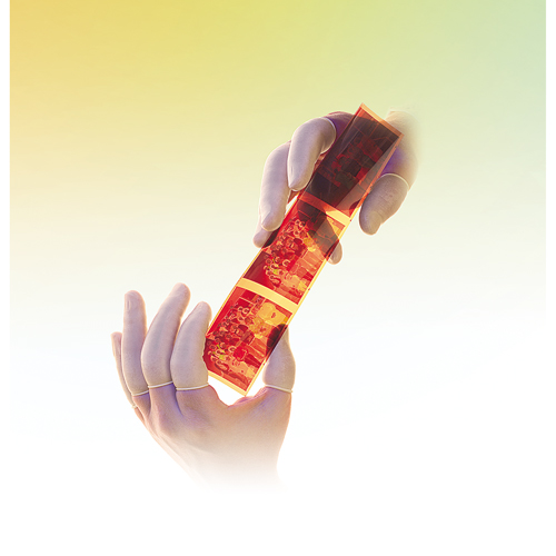 Doigtiers Qualatex en latex sans poudre QRP Kelford