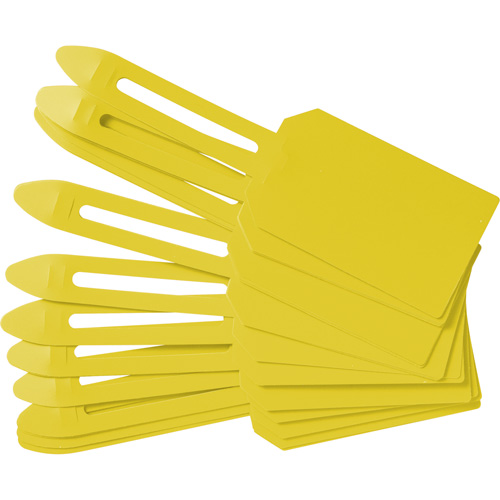&eacute;tiquettes de cadenassage vierges en plastique, Plastique, 3-1/4" la x 5-4/5" h, Vierge Kelford