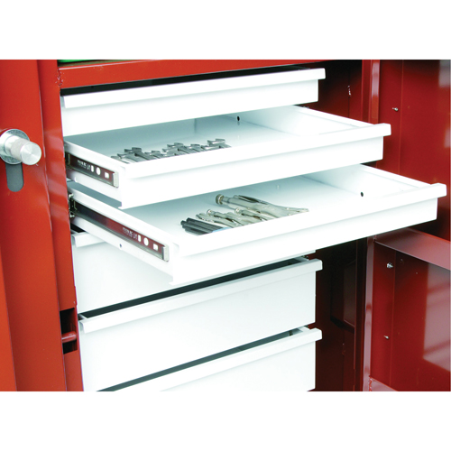 Rolling Work Bench, 49-7/8" W x 40-5/8" H x 26-7/8" D, 24.6 Cubic Feet Capacity Kelford