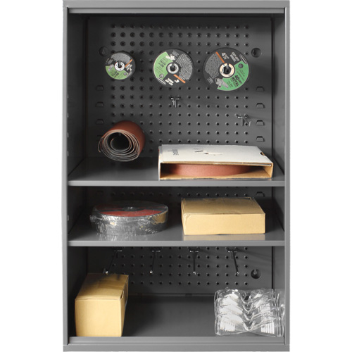 Abrasive Storage Cabinet with Pegboard, Steel, 19-7/8" x 14-1/4" x 32-3/4", Grey Kelford