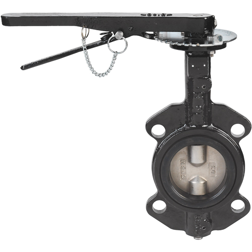 Butterfly Valves - Series BFV, 4" Pipe, 225 PSI Kelford