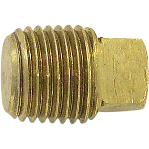 Bouchon de tuyau (t&ecirc;te carr&eacute;e), 1/8" dia., Laiton Kelford