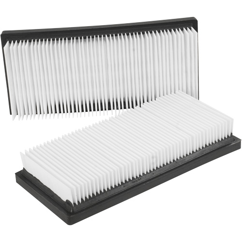 Main Flat Filters, Cartridge, Fits 12 US gal. Kelford