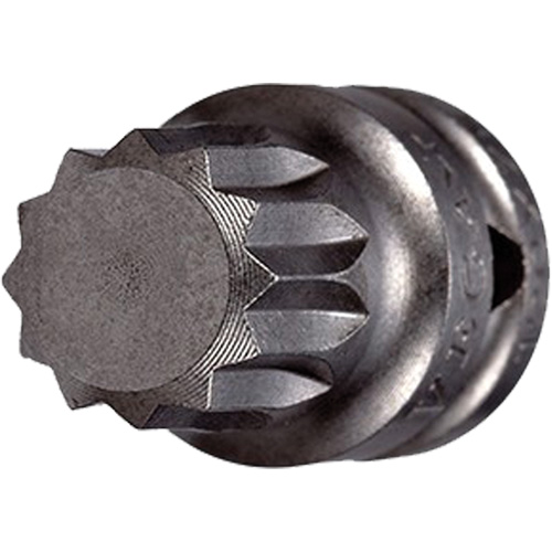 Socket Bit, Triple Square, 5 x 3/4" L, 1/4" Drive Kelford