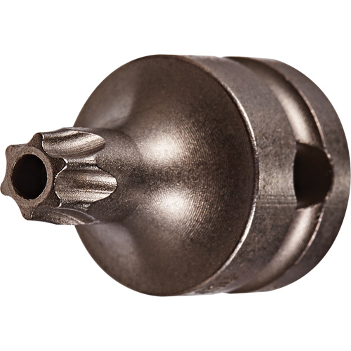 Socket Bit, Torx&reg; Tamper, 25 x 1" L, 3/8" Drive Kelford
