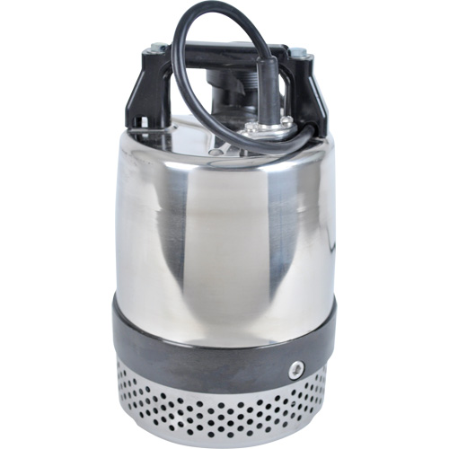 Pompe utilitaire s&eacute;rie FLS/FS, 1 CV, 80 gal./min, 115 V, 10 A Kelford