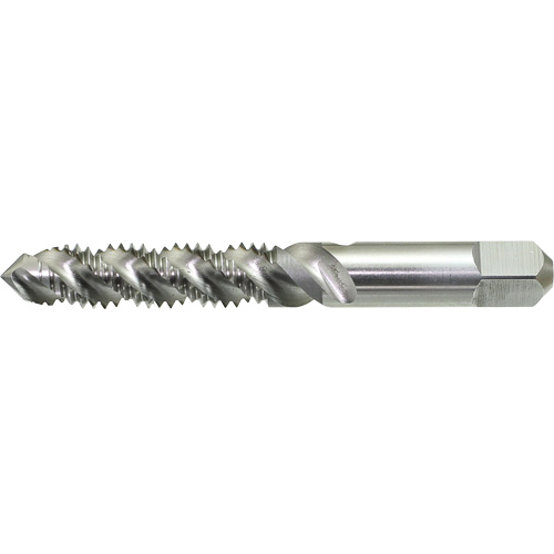 DRILLCO Spiral Flute Hand Tap, High Speed Steel, 1/4"-20 Thread Kelford