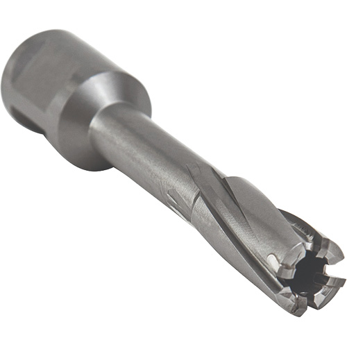 Core Cut Annular Cutter with Weldon Shank, 12 mm Diameter, Carbide, 55 mm Depth of Cut, 3/4" Shank Kelford