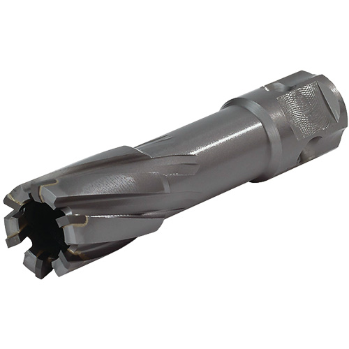 Universal Shank Annular Cutter, 1/2" Diameter, Carbide, 1" Depth of Cut, 3/4" Shank Kelford