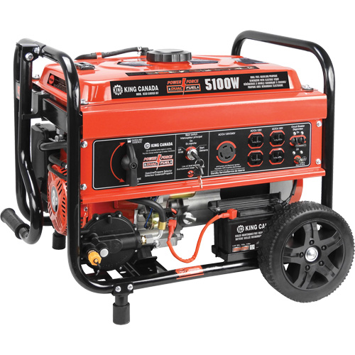 G&eacute;n&eacute;ratrice &agrave; essence/au propane &agrave; d&eacute;marreur &eacute;lectrique Kelford