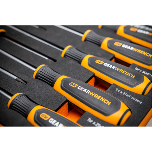 Jeu de tournevis bimat&eacute;riau Torx dans un plateau de rangement en mousse, 10 mcx Kelford