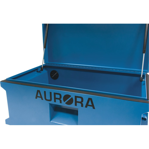 Coffre &agrave; outils de chantier, 33" x 20-3/10" x 18-3/10", Acier, Bleu Kelford