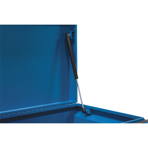Coffre &agrave; outils de chantier, 33" x 20-3/10" x 18-3/10", Acier, Bleu Kelford