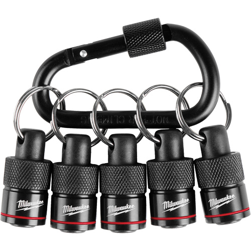 5-Piece Bit Holder with Carabiner Kelford