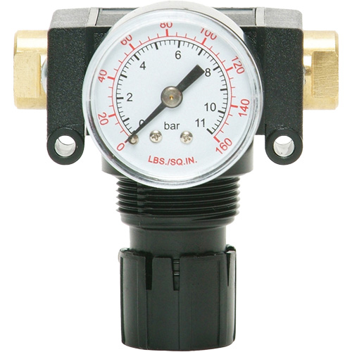 D&eacute;tendeur &agrave; piston en ac&eacute;tal MODULAIR 200, 1/4" NPT, PSI max. de 150 psi, Canalisation/Modulaire Kelford