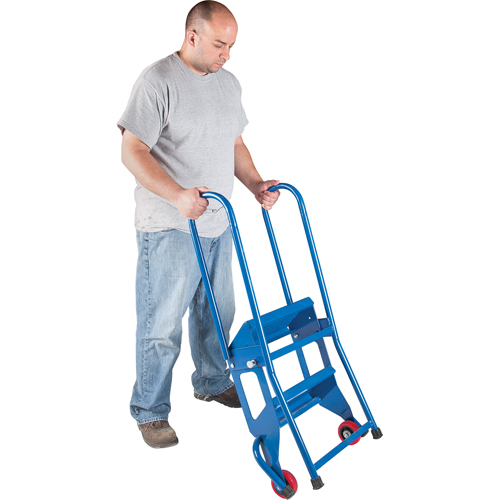 Portable Folding Ladder, 2 Steps, Perforated, 20" High Kelford