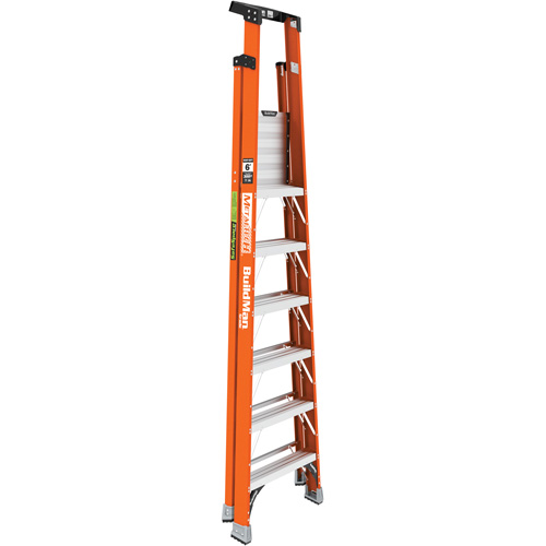 Safespace Platform Step Ladder, 6', 300 lbs. Cap. Kelford