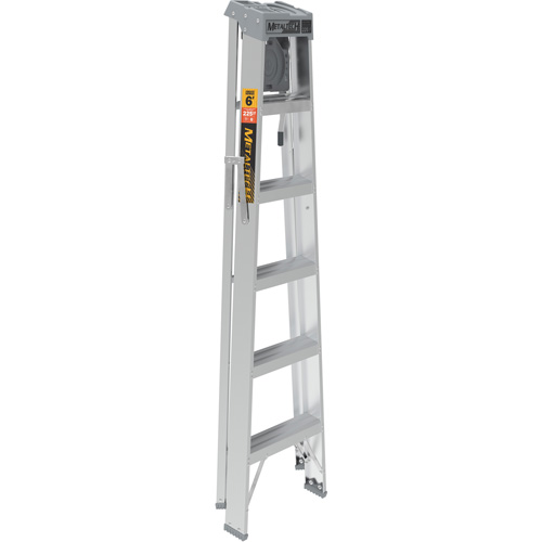 Step Ladder with Paint Tray, 6', Aluminum, 225 lbs. Capacity, Type 2 Kelford