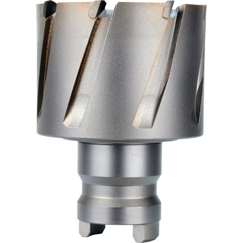 Fraise avec tenon &agrave; changement rapide Drive Hawg, Diam&egrave;tre de 2", Acier, Profondeur de la coupe de 1" Kelford