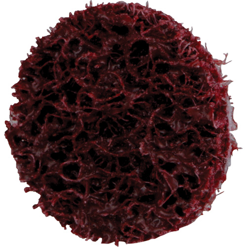 Disque de conditionnement de surface &agrave; remplacement rapide Standard Abrasives, 3/4" dia., Grain Moyen, Oxyde d'aluminium Kelford