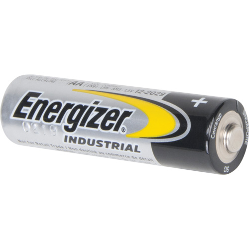 Alkaline Industrial Batteries, AA, 1.5 V Kelford