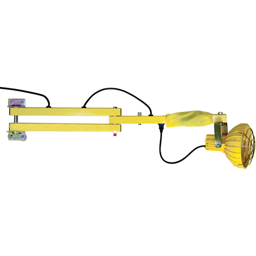 Dock Loading Lights with Flexible Arm, Incandescent Light, 60" Arm Kelford