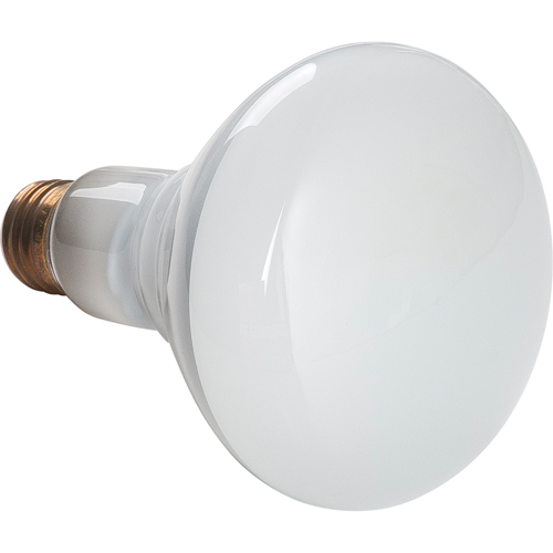 Economy Line Incandescent Lamps Kelford