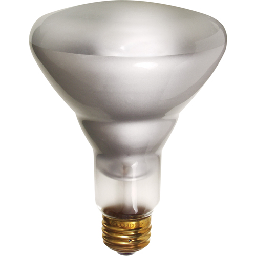 Economy Line Incandescent Lamps Kelford